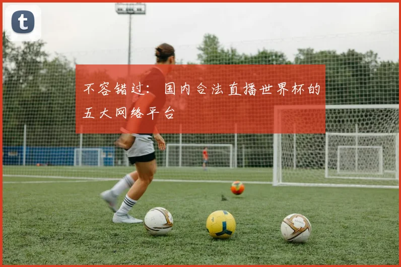 不容错过:国内合法直播世界杯的五大网络平台