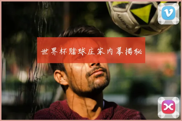 世界杯赌球庄家内幕揭秘