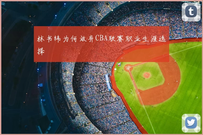 林书纬为何放弃CBA联赛职业生涯选择