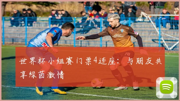 世界杯小组赛门票4连座:与朋友共享绿茵激情