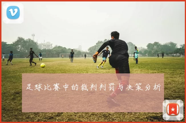 足球比赛中的裁判判罚与决策分析
