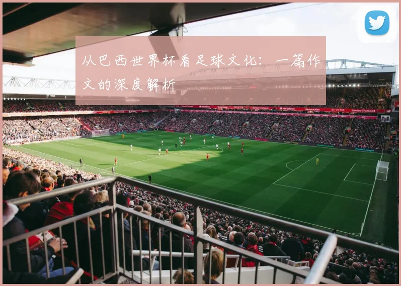 从巴西世界杯看足球文化:一篇作文的深度解析