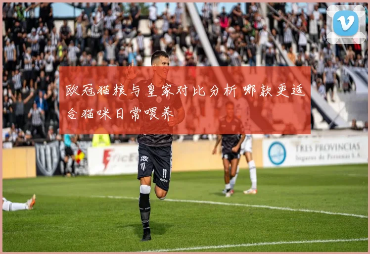 欧冠猫粮与皇家对比分析 哪款更适合猫咪日常喂养