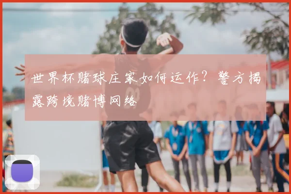 世界杯赌球庄家如何运作?警方揭露跨境赌博网络