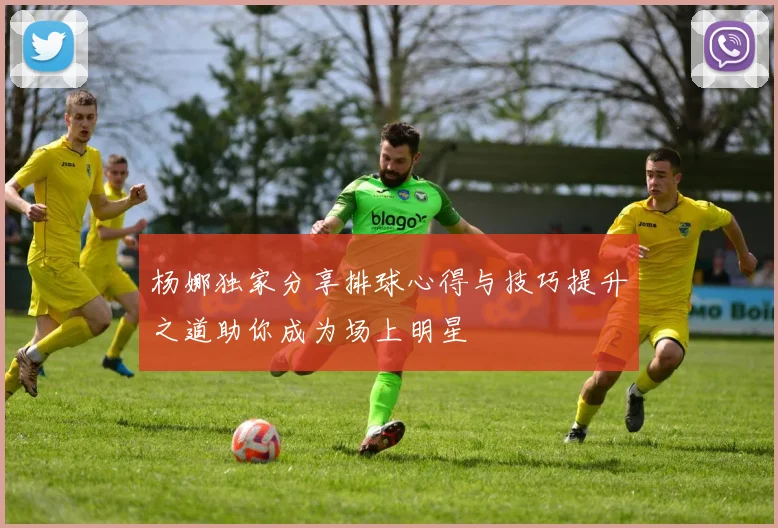 杨娜独家分享排球心得与技巧提升之道助你成为场上明星