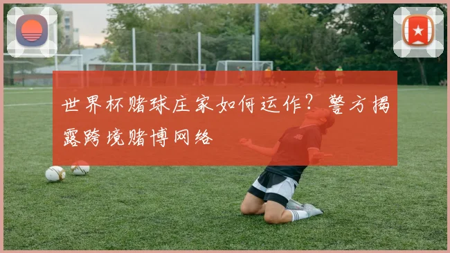 世界杯赌球庄家如何运作？警方揭露跨境赌博网络