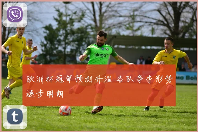 欧洲杯冠军预测升温 各队争夺形势逐步明朗