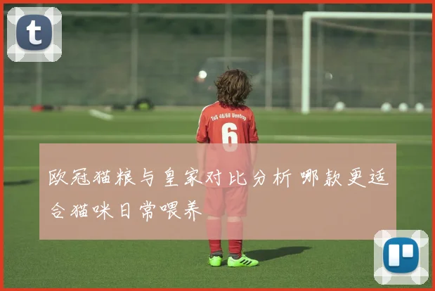 欧冠猫粮与皇家对比分析 哪款更适合猫咪日常喂养