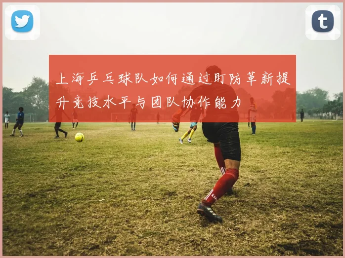 上海乒乓球队如何通过盯防革新提升竞技水平与团队协作能力