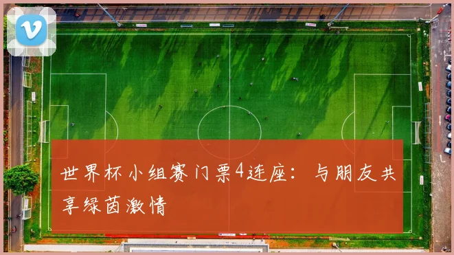 世界杯小组赛门票4连座：与朋友共享绿茵激情